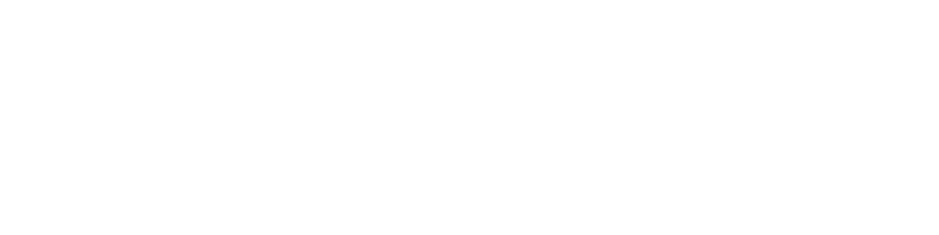 individual sentiments store